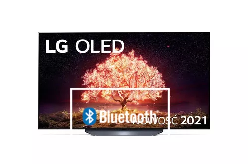 Connect Bluetooth speaker to LG OLED55B13LA