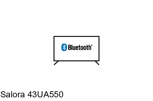 Connectez des haut-parleurs ou des écouteurs Bluetooth au Salora 43UA550