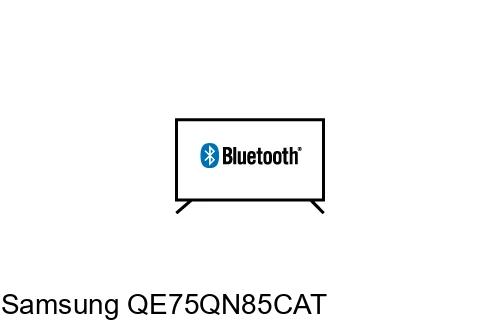 Connectez le haut-parleur Bluetooth au Samsung QE75QN85CAT