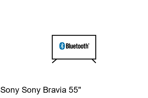 Connectez le haut-parleur Bluetooth au Sony Sony Bravia 55"