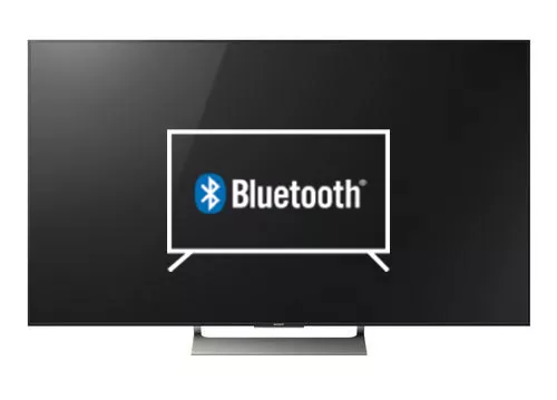 Connectez le haut-parleur Bluetooth au Sony XBR-75X900E