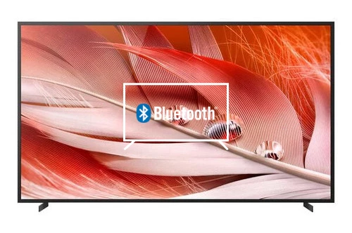 Conectar altavoces o auriculares Bluetooth a Sony XR-100X92