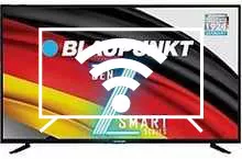 Connect to the internet Blaupunkt BLA43BS570