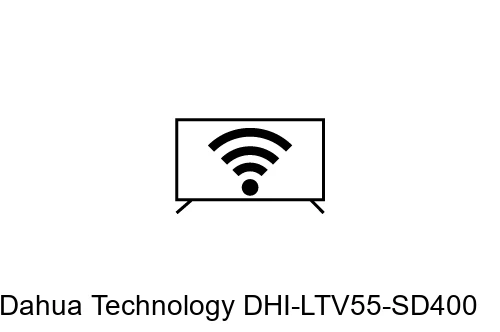 Connect to the internet Dahua Technology DHI-LTV55-SD400