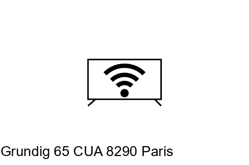 Connecter à Internet Grundig 65 CUA 8290 Paris