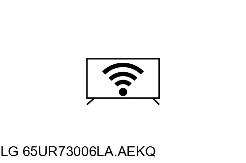 Connect to the Internet LG 65UR73006LA.AEKQ
