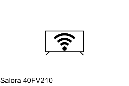 Connecter à Internet Salora 40FV210