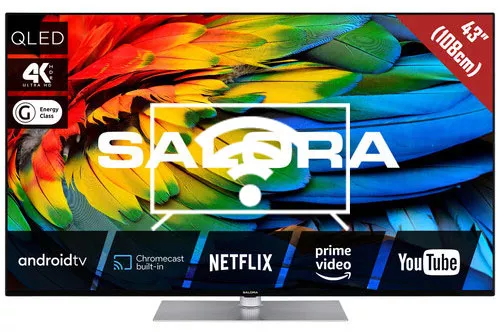 Connect to the internet Salora 43QLED440A