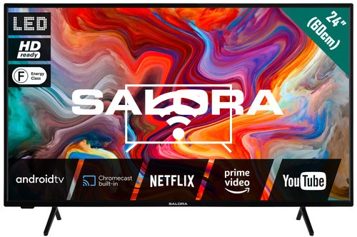 Connect to the Internet Salora SMART24TV