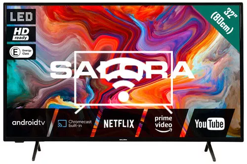 Connect to the Internet Salora SMART32TV