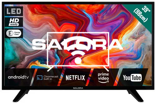 Connect to the internet Salora SMART39TV
