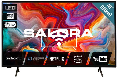 Connect to the internet Salora SMART40TV