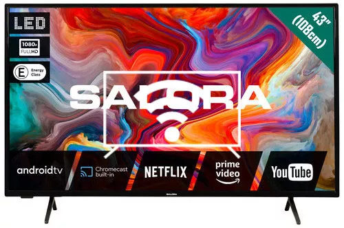 Connect to the Internet Salora SMART43TV