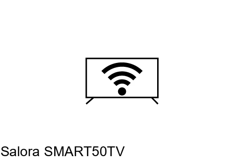 Connect to the Internet Salora SMART50TV