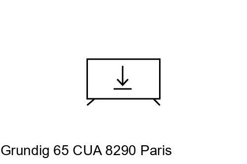 Installer des applications sur Grundig 65 CUA 8290 Paris