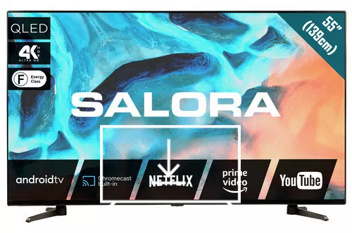 Install apps on Salora 55QLED220A