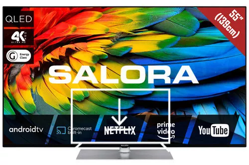 Install apps on Salora 55QLED440A