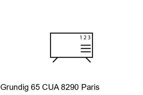 Cómo ordenar canales en Grundig 65 CUA 8290 Paris