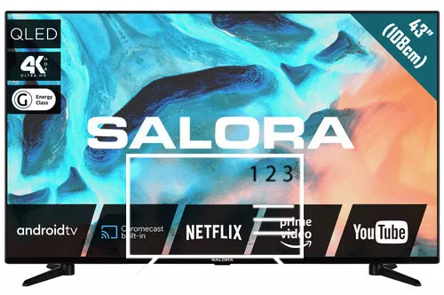 How to edit programmes on Salora 43QLED220A