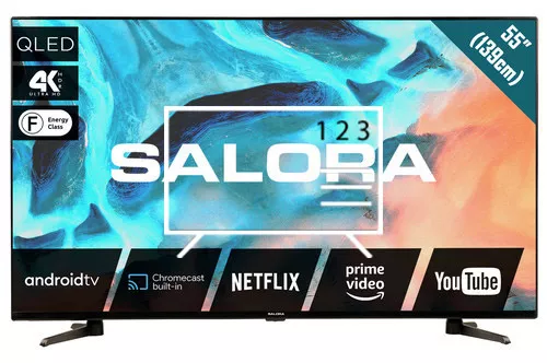How to edit programmes on Salora 55QLED220A