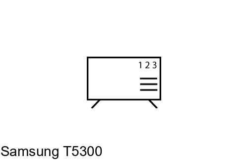 Organize channels in Samsung T5300