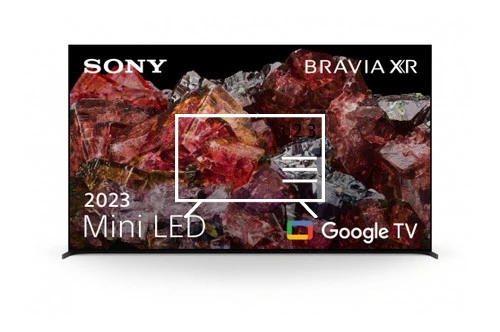 Cómo ordenar canales en Sony FWD-65X95L
