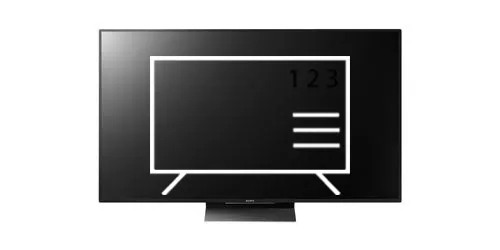 Organize channels in Sony KD65ZD9BU