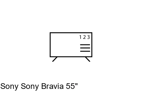 Organize channels in Sony Sony Bravia 55"
