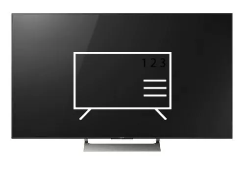 Organize channels in Sony XBR-49X900E