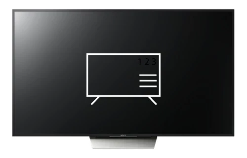 Organize channels in Sony XBR-65X850D