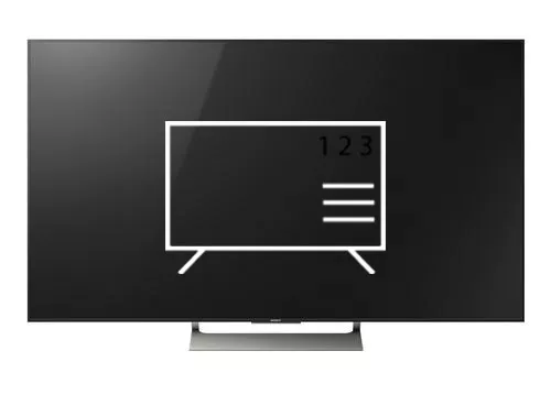 Organize channels in Sony XBR-75X900E