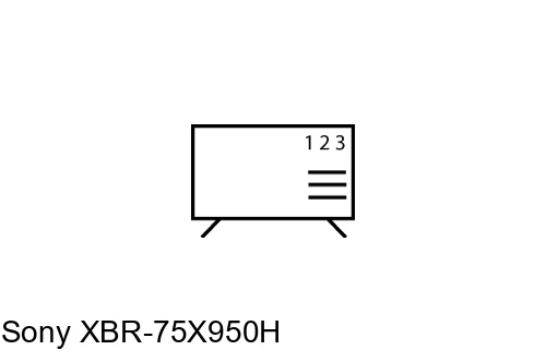 Comment trier les chaînes sur Sony XBR-75X950H