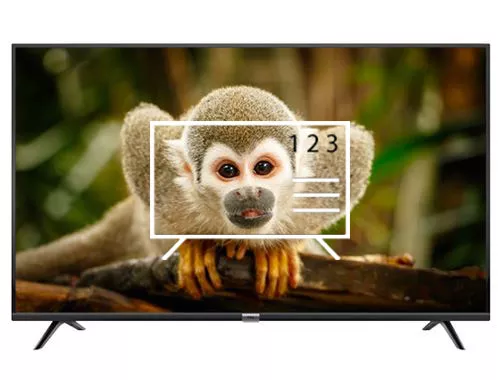 Organize channels in TCL 32ES568