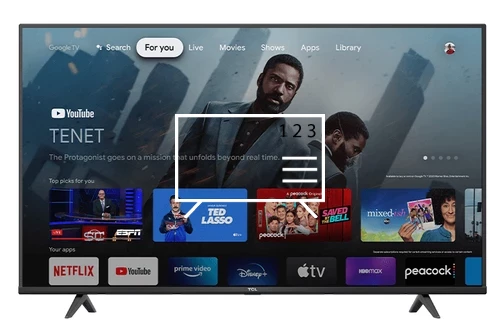 Organize channels in TCL 55S446