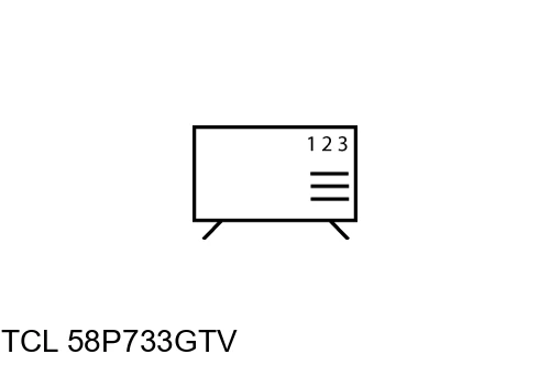 Organize channels in TCL 58P733GTV