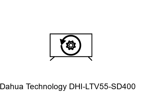 Factory reset Dahua Technology DHI-LTV55-SD400
