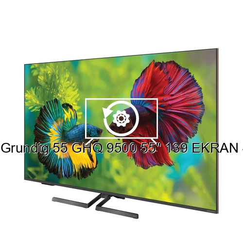 Restauration d'usine Grundig 55 GHQ 9500 55'' 139 EKRAN 4K UHD GOOGLE QLED TV