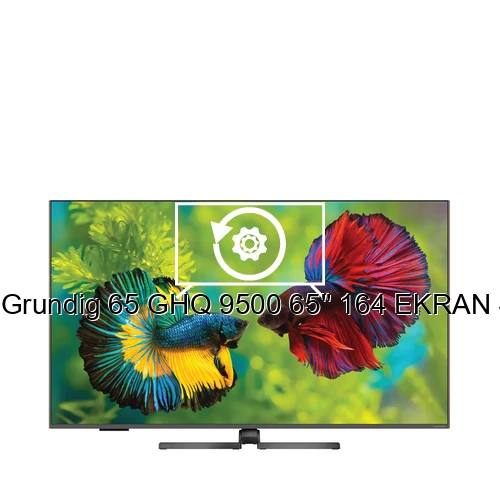 Réinitialiser Grundig 65 GHQ 9500 65'' 164 EKRAN 4K UHD GOOGLE QLED TV
