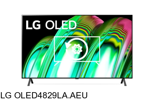 Factory reset LG OLED4829LA.AEU