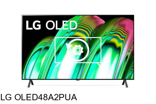 Restaurar de fábrica LG OLED48A2PUA