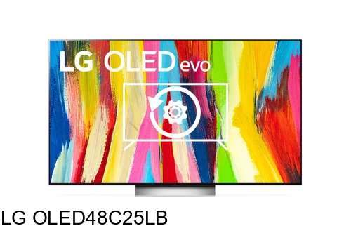 Factory reset LG OLED48C25LB