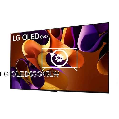 Factory reset LG OLED55G45LW
