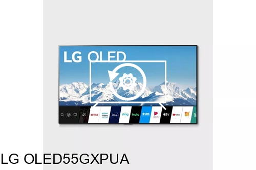 Factory reset LG OLED55GXPUA