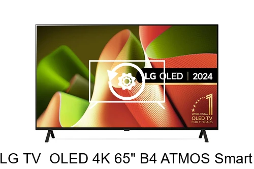 Factory reset LG TV  OLED 4K 65" B4 ATMOS Smart TVwebOS