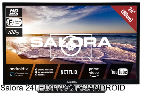 Factory reset Salora 24LED9109CTS2ANDROID