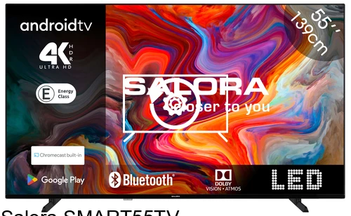 Factory reset Salora SMART55TV