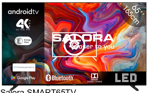 Reset Salora SMART65TV
