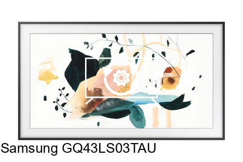 Reset Samsung GQ43LS03TAU