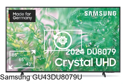Réinitialiser Samsung GU43DU8079U