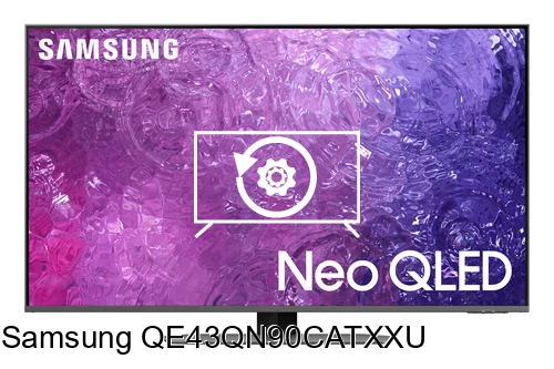 Reset Samsung QE43QN90CATXXU